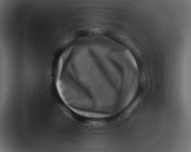 X0000086770466200705111738
