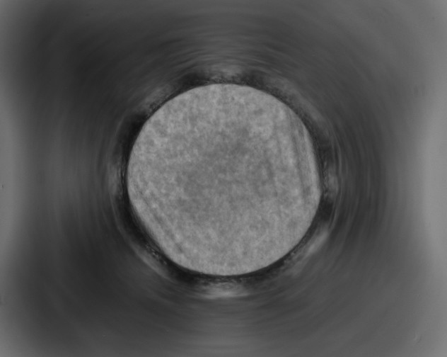 X0000086770468200705111738
