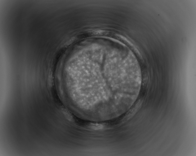 X0000086770469200705111738