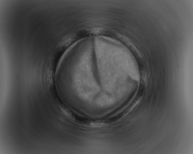 X0000086770470200705111738