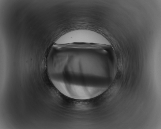X0000086770471200705111739