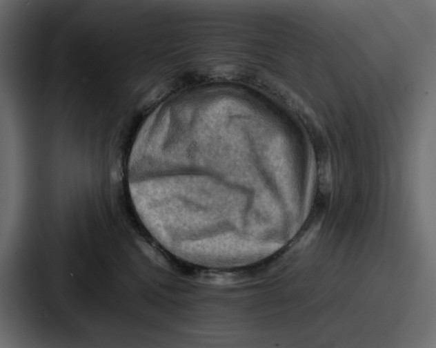 X0000086770472200705111739