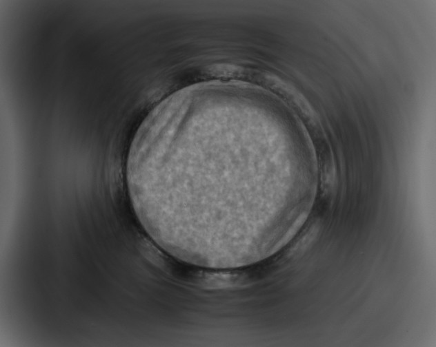 X0000086770473200705111739