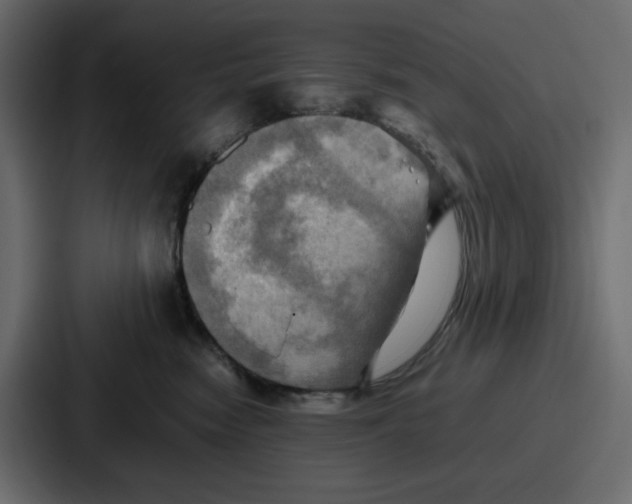 X0000086770474200705111739