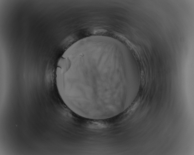 X0000086770475200705111739