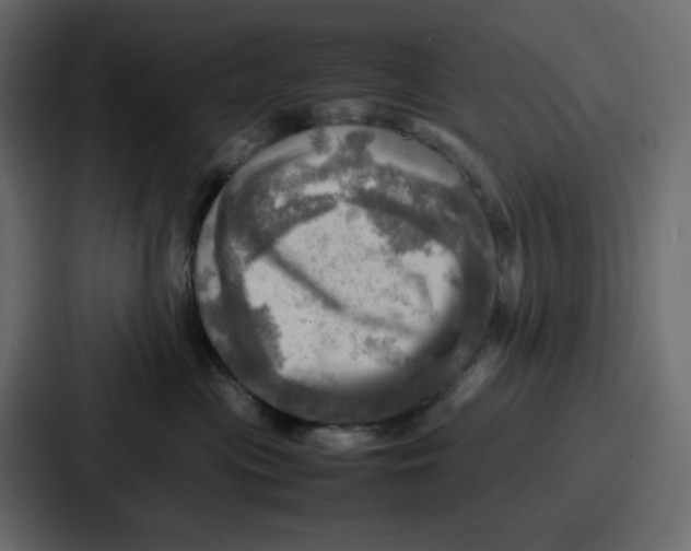 X0000086770477200705111739