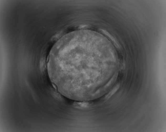 X0000086770478200705111739