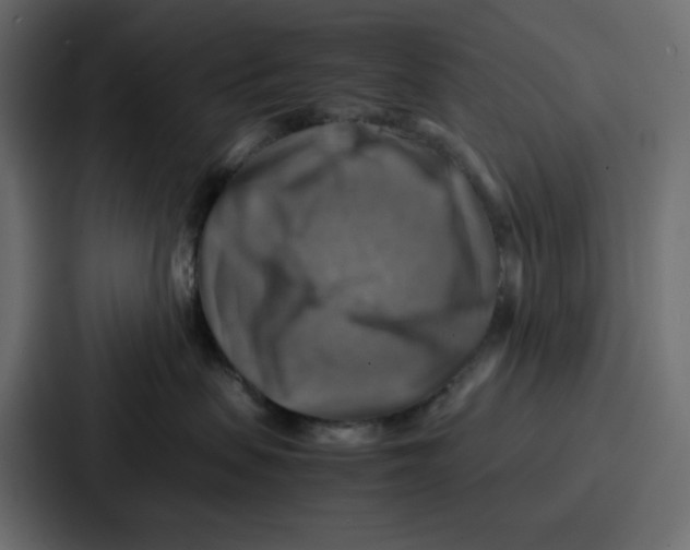 X0000086770479200705111739