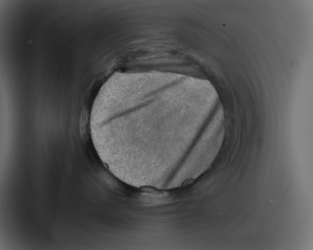 X0000086770480200705111739