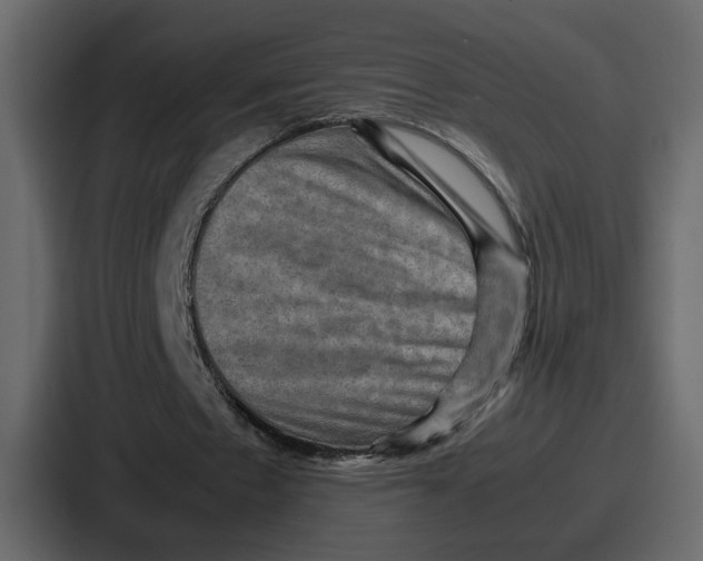 X0000086770481200705111738