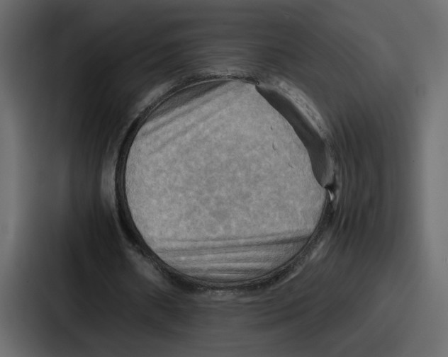 X0000086770482200705111738