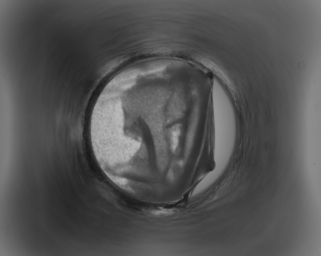 X0000086770483200705111738