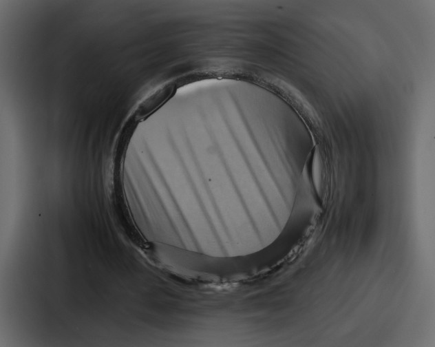 X0000086770484200705111738