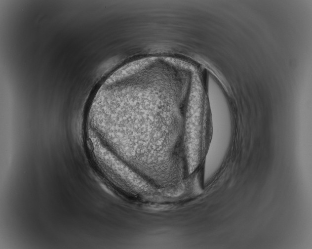 X0000086770485200705111738