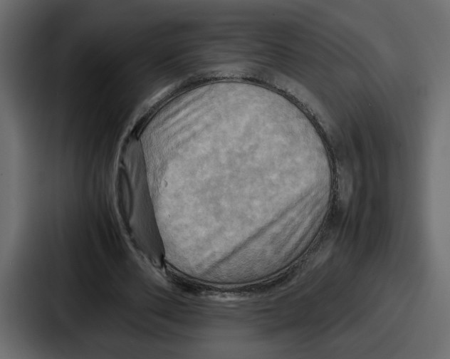 X0000086770486200705111738