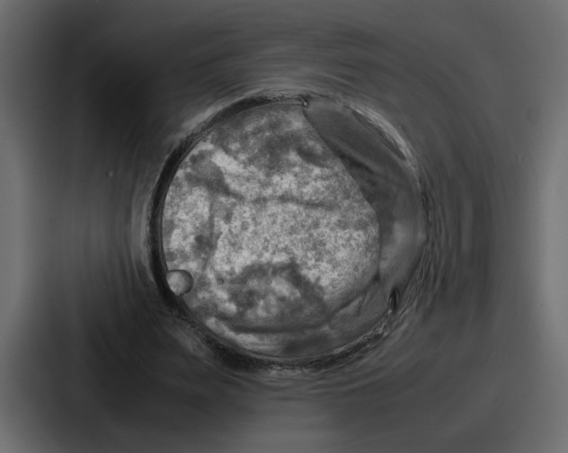 X0000086770487200705111738