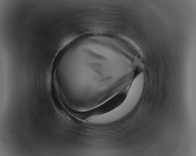 X0000086770488200705111738