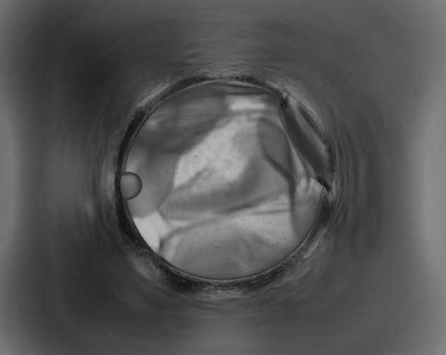 X0000086770491200705111738
