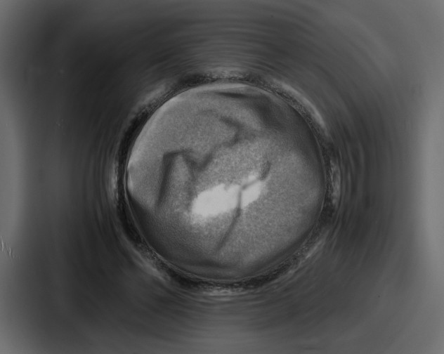 X0000086770494200705111738