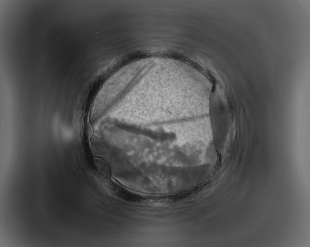 X0000086770495200705111738