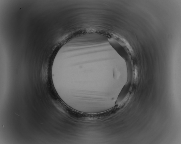 X0000086770496200705111738