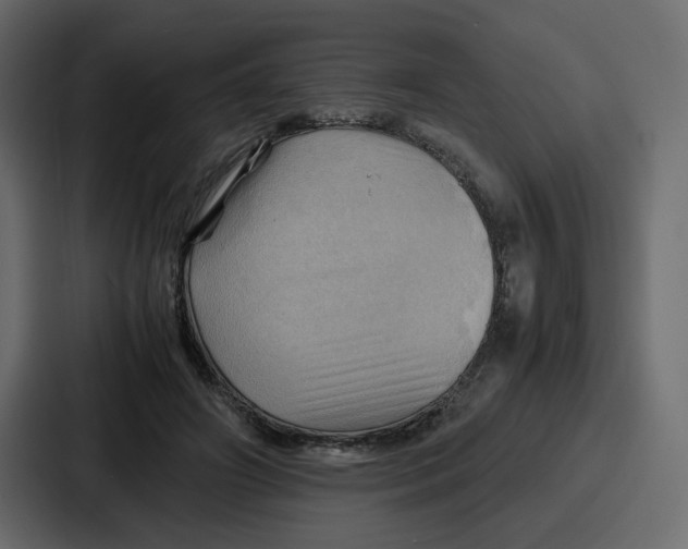 X0000086770498200705111738