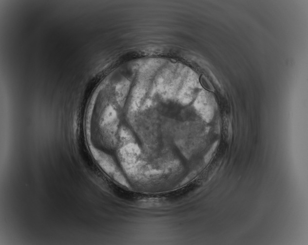 X0000086770499200705111738