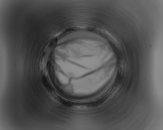 X0000086770500200705111738