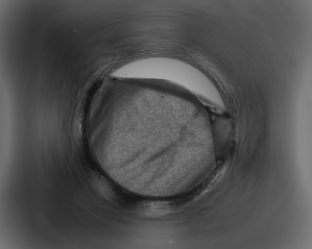 X0000086770501200705111738
