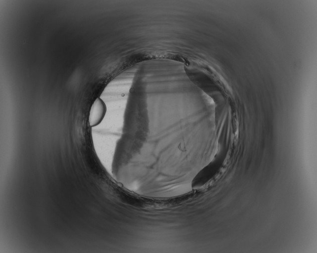 X0000086770503200705111738