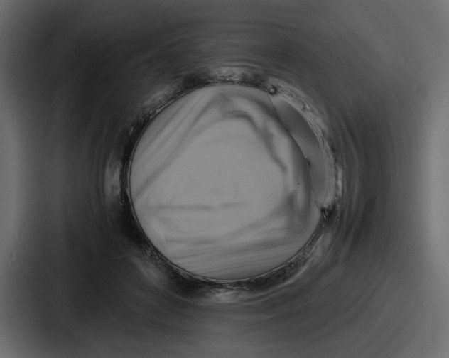 X0000086770504200705111738