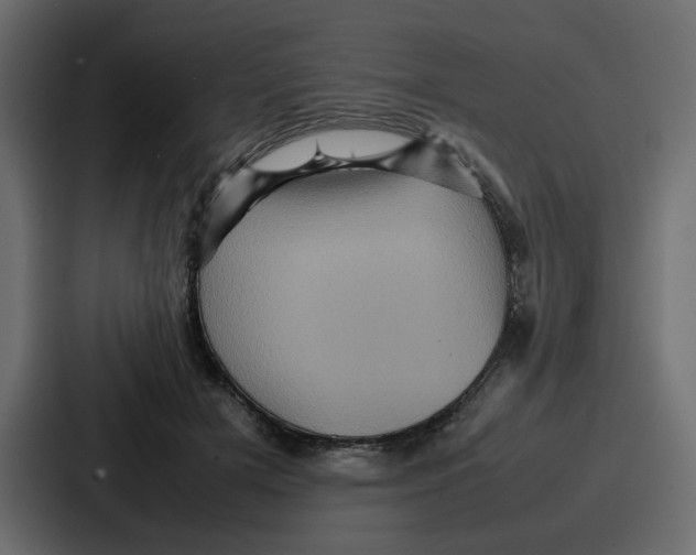 X0000086770505200705111738