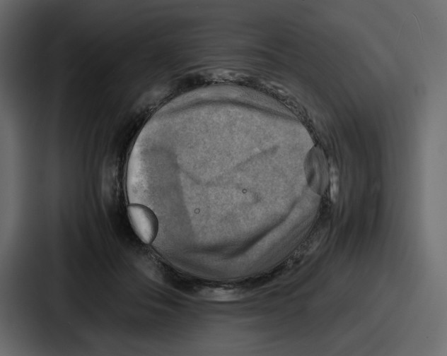 X0000086770506200705111738