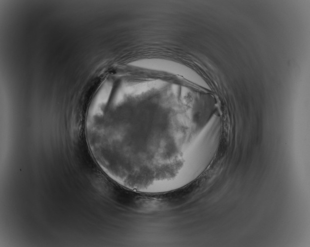 X0000086770507200705111738