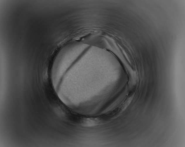 X0000086770508200705111738