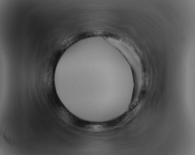 X0000086770509200705111738