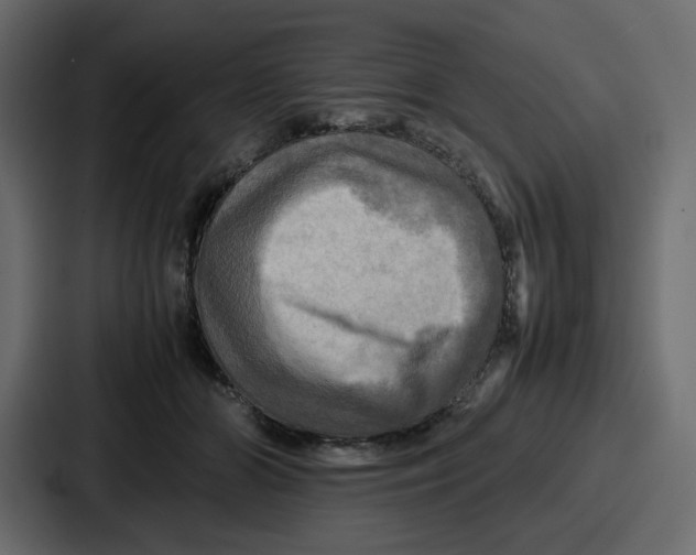 X0000086770510200705111738