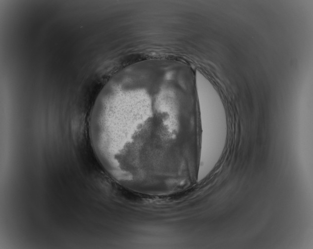 X0000086770511200705111738