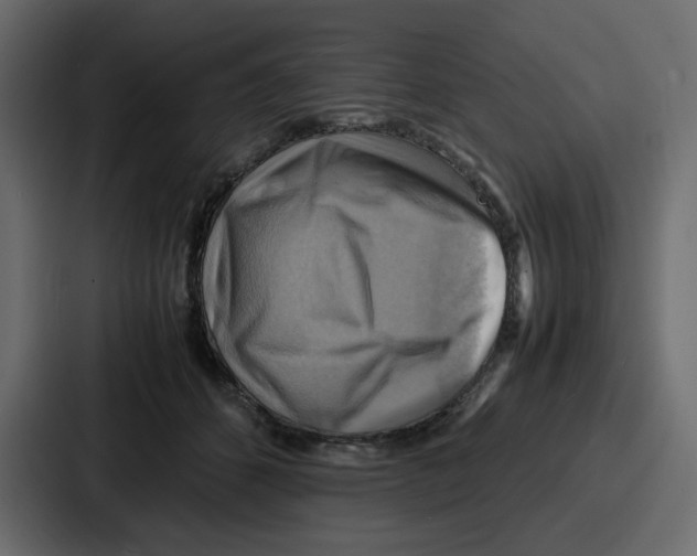 X0000086770512200705111738