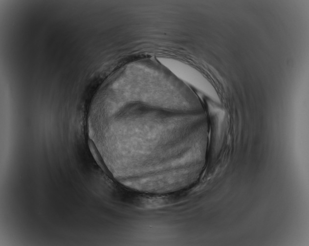 X0000086770513200705111738