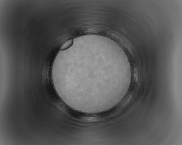 X0000086770514200705111738