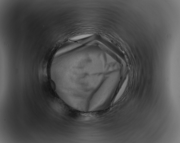 X0000086770516200705111738