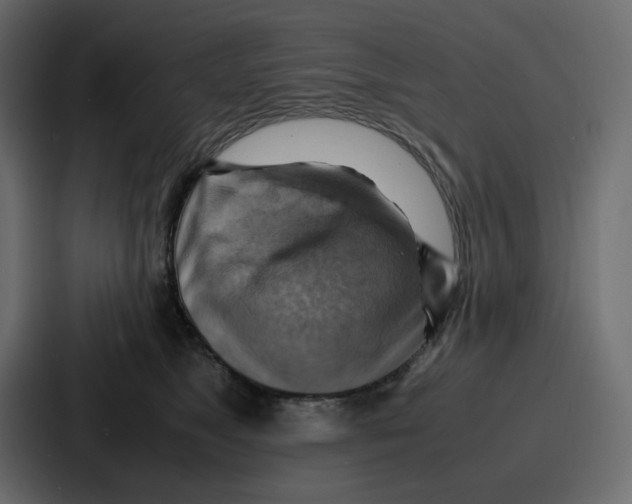 X0000086770517200705111738
