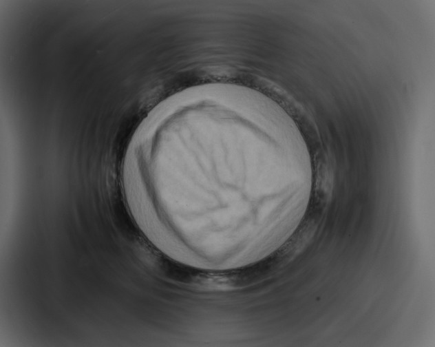 X0000086770518200705111738