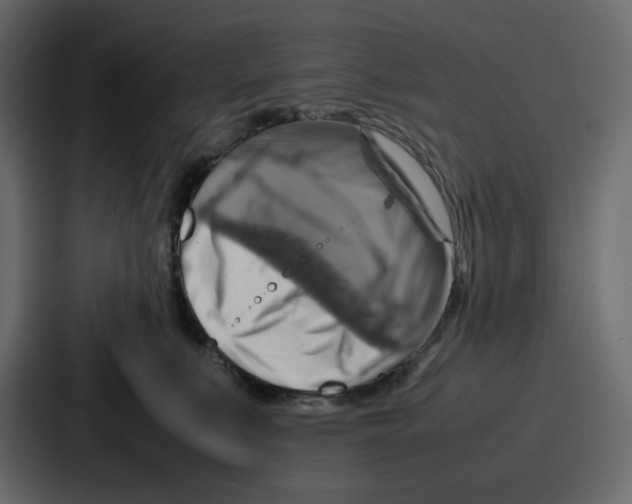 X0000086770519200705111738