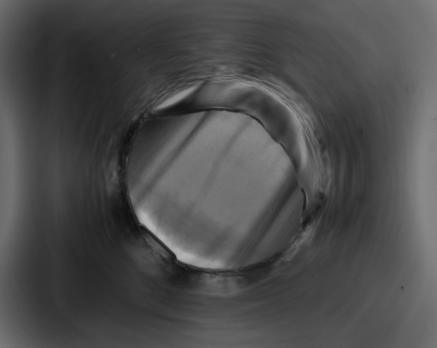 X0000086770520200705111737