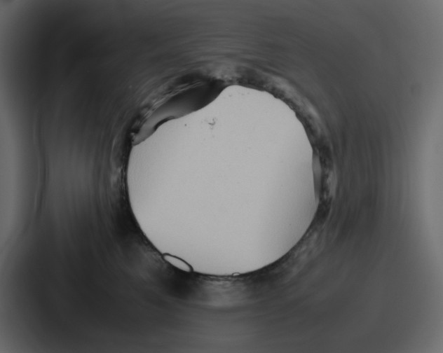 X0000086770521200705111737