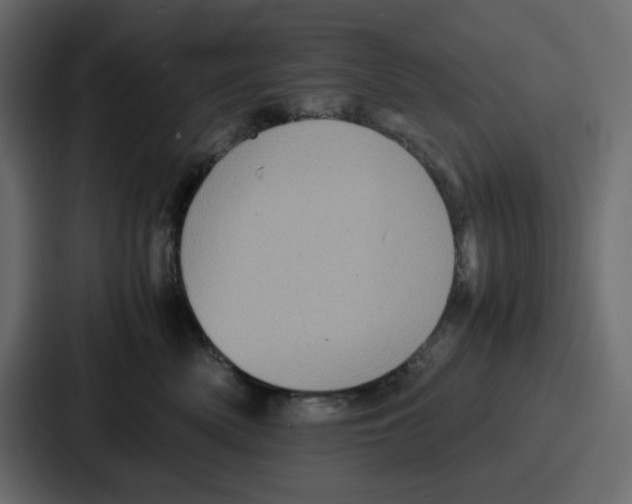 X0000086770522200705111737