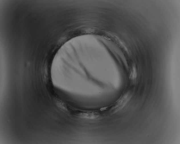 X0000086770524200705111737