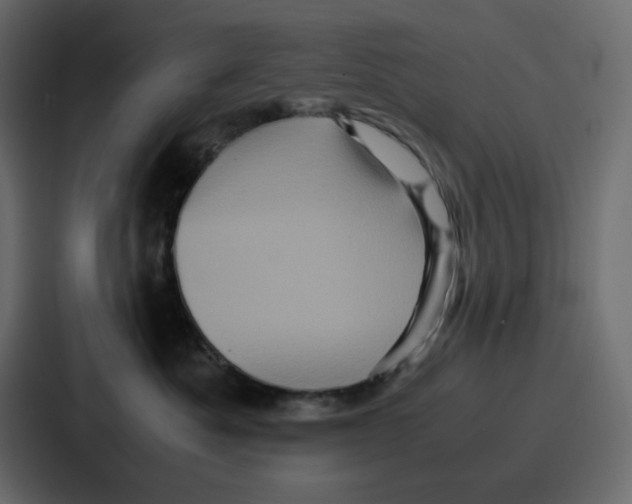 X0000086770525200705111737